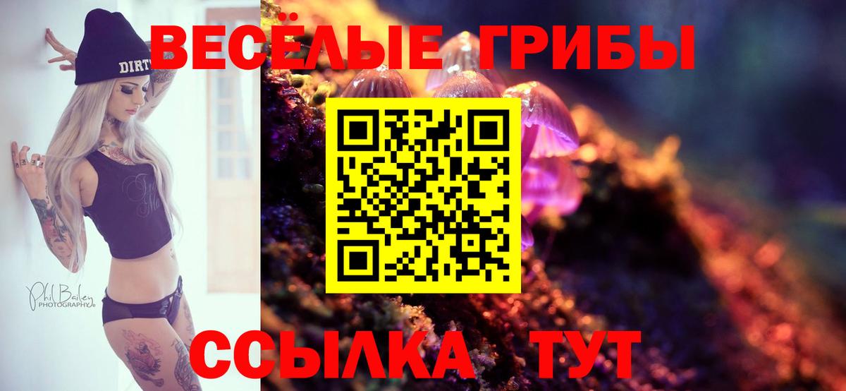 Кумертау  Галлюциногенные грибы Psilocybe  Вход с VPN 
